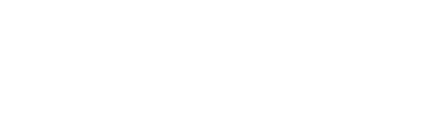 Google+